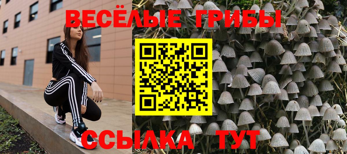 Родники  Псилоцибиновые грибы Cubensis  купить наркотики сайты  Вход с VPN  Псилоцибиновые грибы GOLDEN TEACHER 